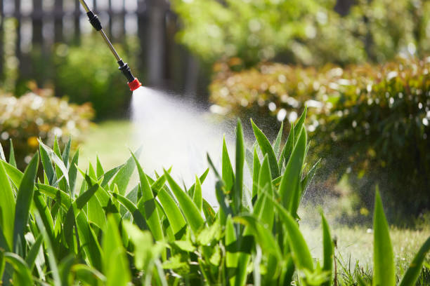 24/7 Emergency Ant Control experts in Moab, UT